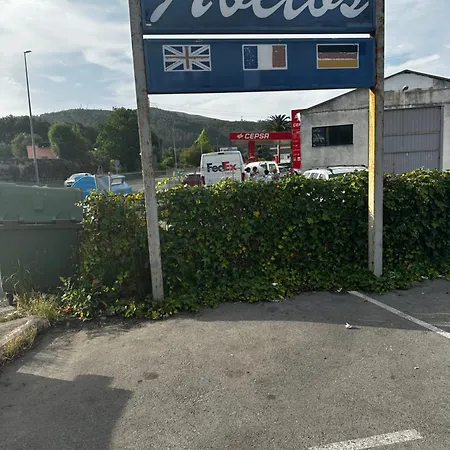 Abetos Pensión Villanueva de la Peña